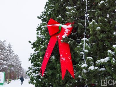 Стало известно, где в России будет больше всего гостей на Новый год 