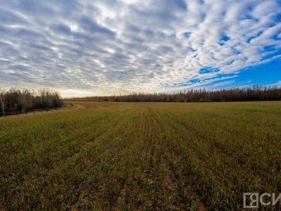 Якутия стала лидером выдачи «дальневосточных гектаров»